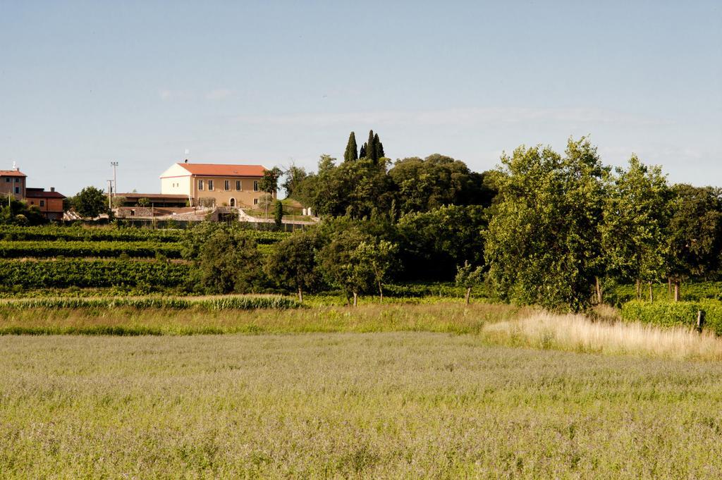 Agriturismo Panorama Vila Castelnuovo del Garda Exterior foto